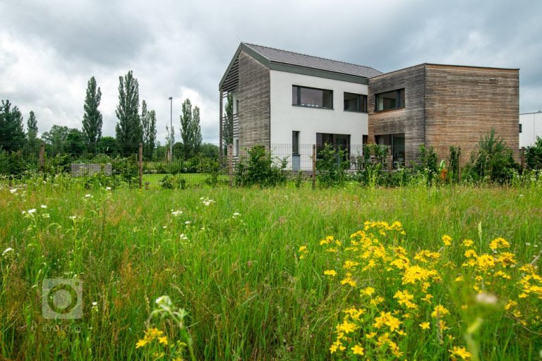 add picture to album