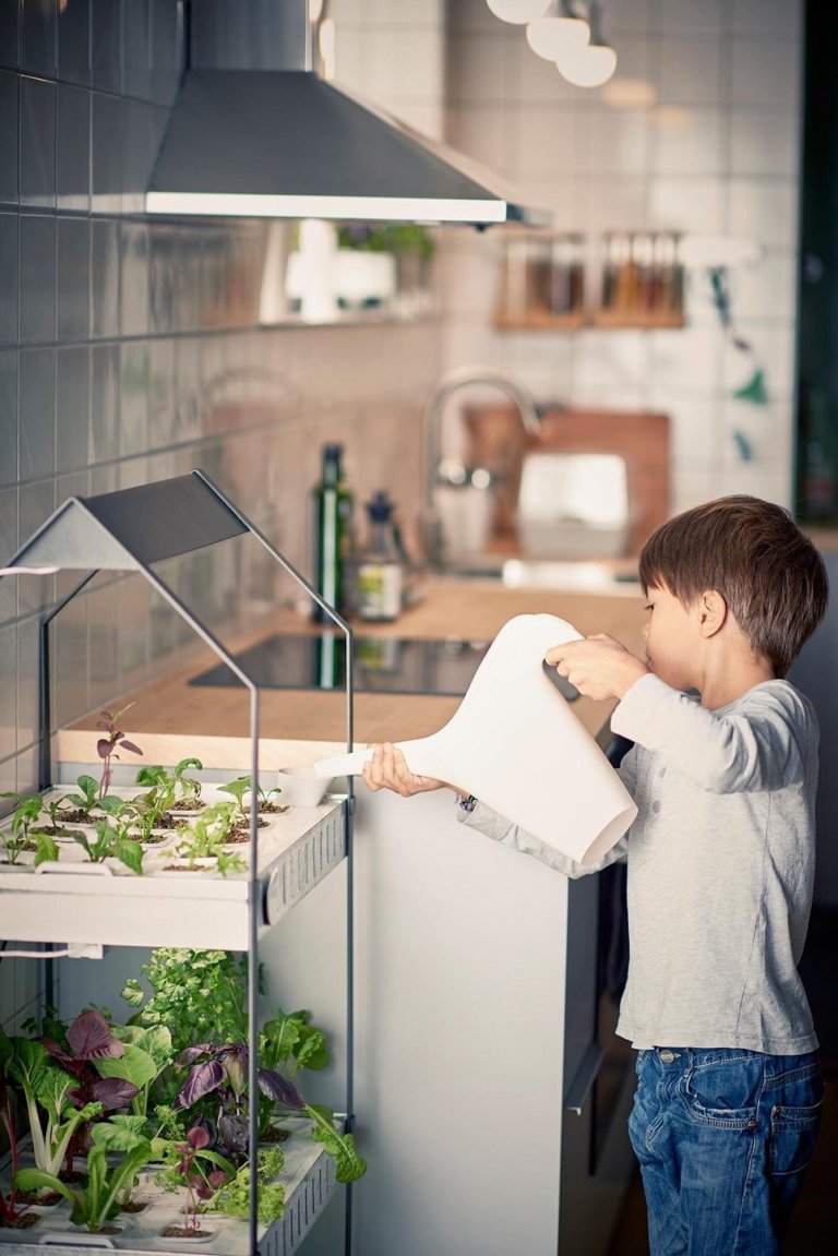 Hydroponická zahrádka, pěstujte bylinky bez půdy