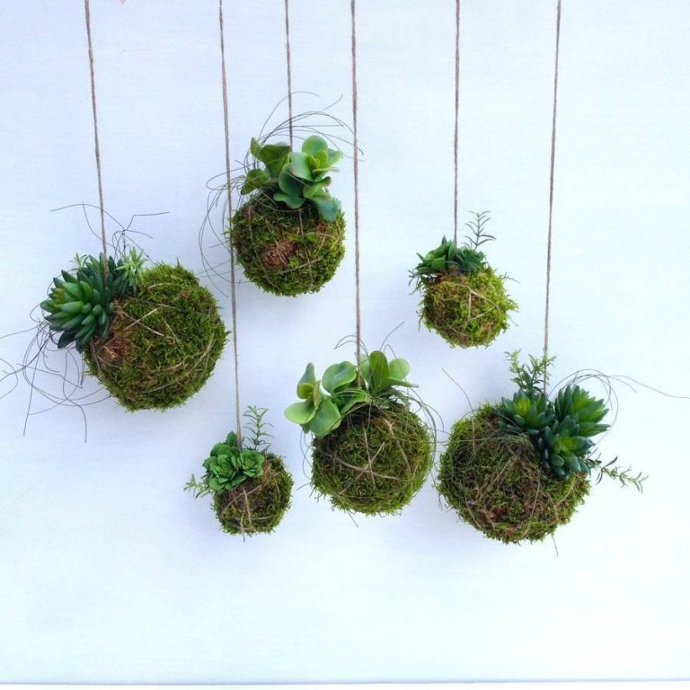 Fenomén jménem KOKEDAMA
