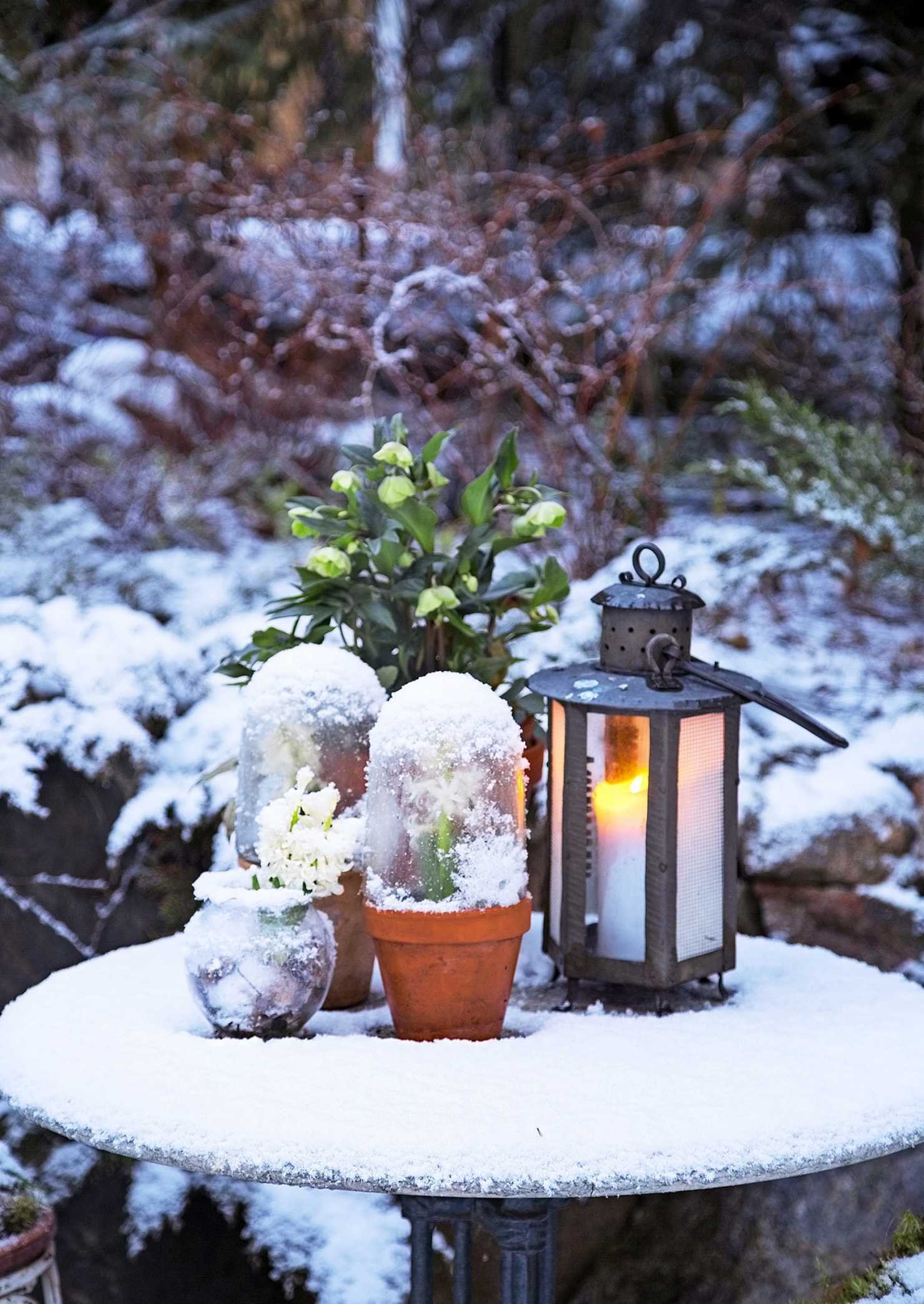 Vánoční inspirace a dekorace