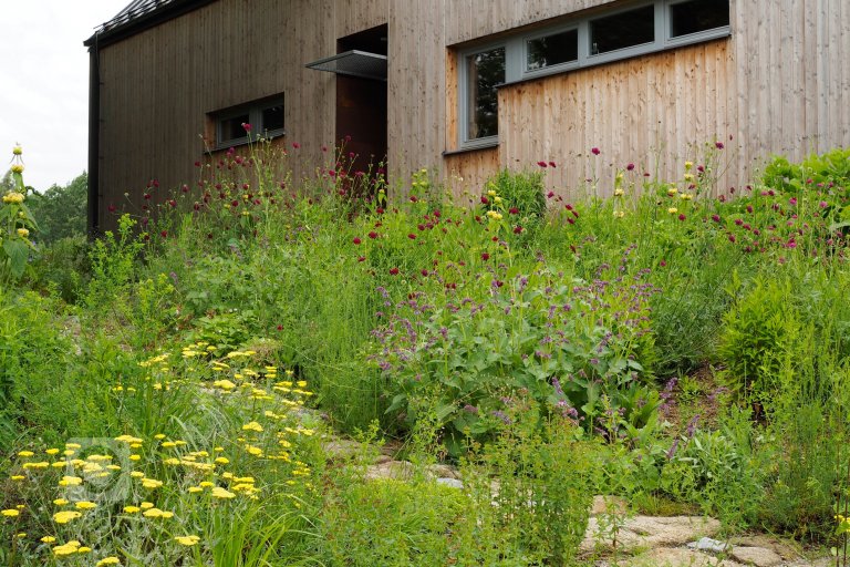 add picture to album