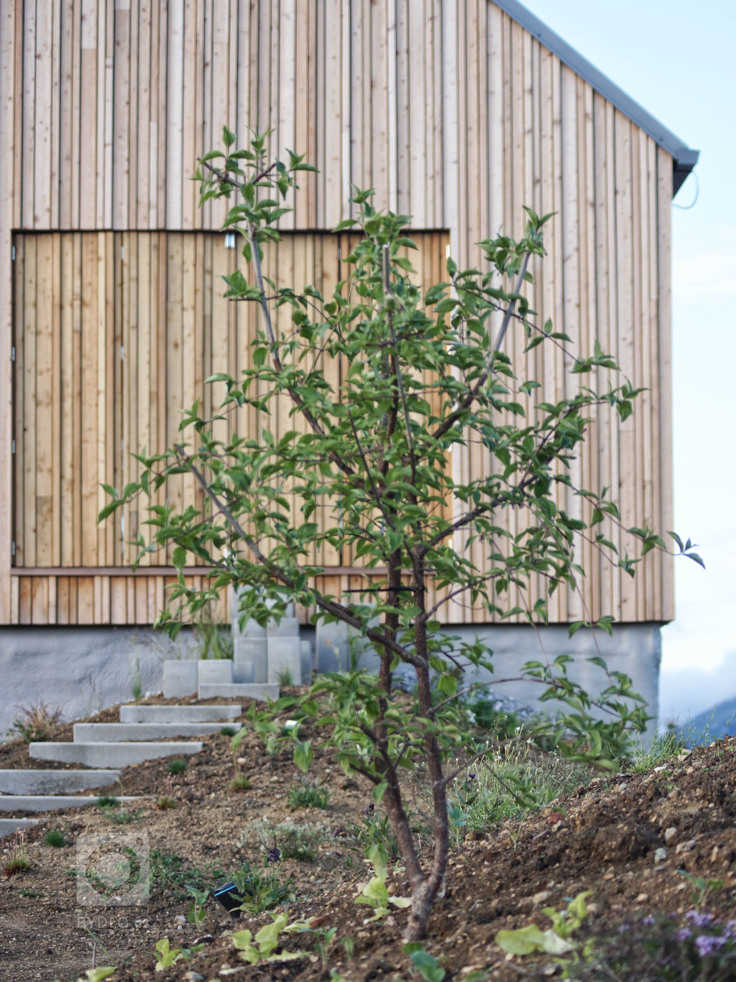 Rodinný dom na úpätí Národného parku Veľká Fatra je situovaný na hranici medzi intravilánom a extravilánom. Ľudovo je dom umiestnený za humnami, takže celé…