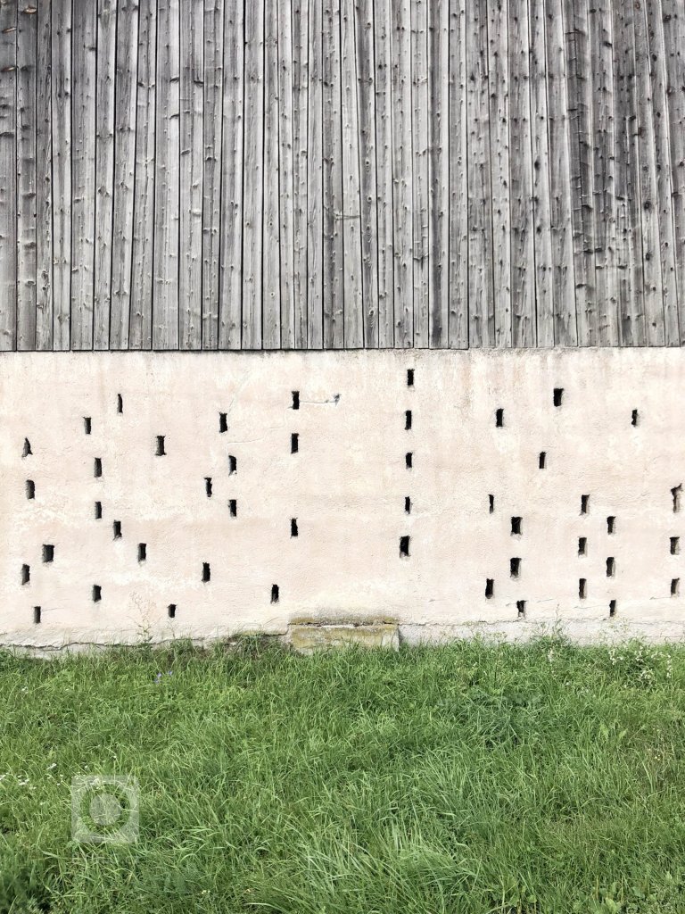 add picture to album