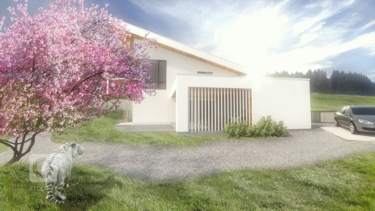 add picture to album