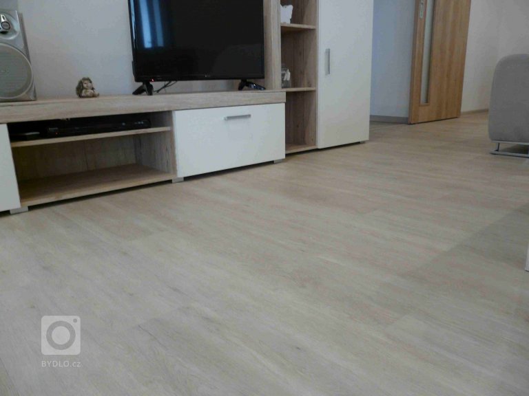 add picture to album