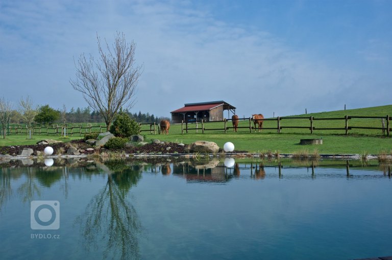 add picture to album