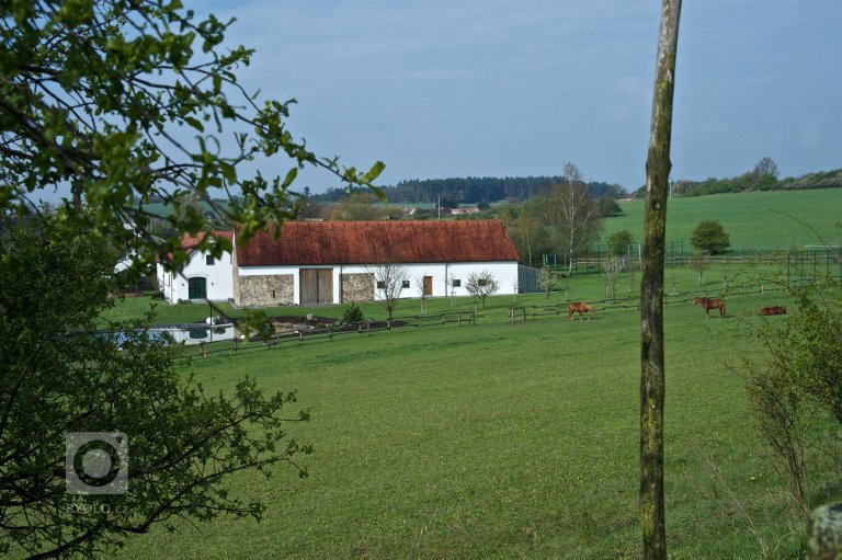 add picture to album