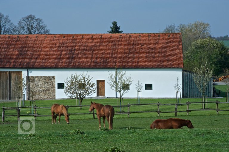 add picture to album