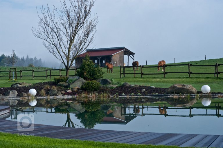 add picture to album