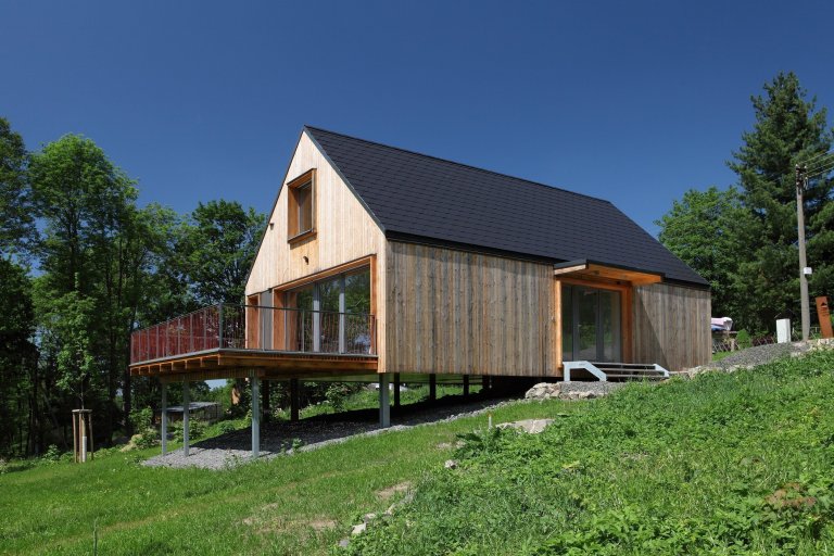 Concept House - Pulečný