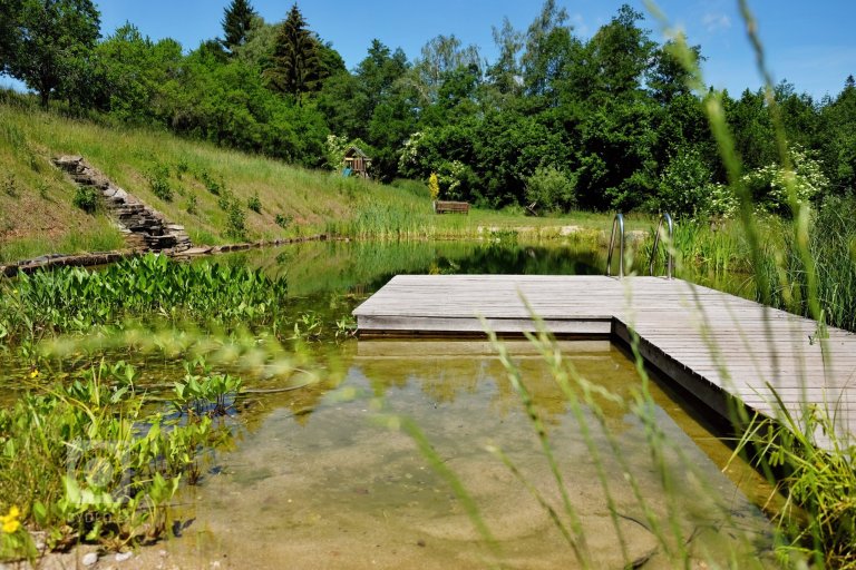 add picture to album