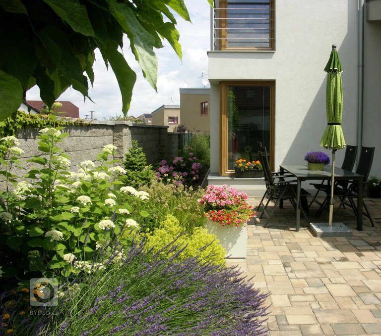 add picture to album