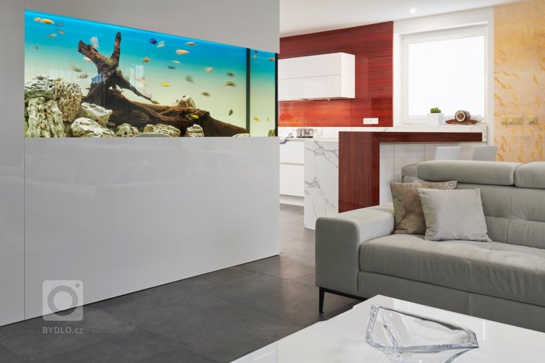 add picture to album