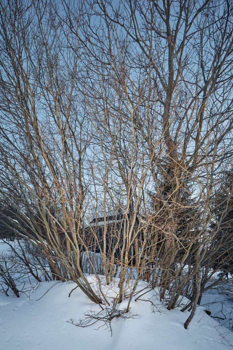 Dřevěná chata v Krkonoších obložená plechem