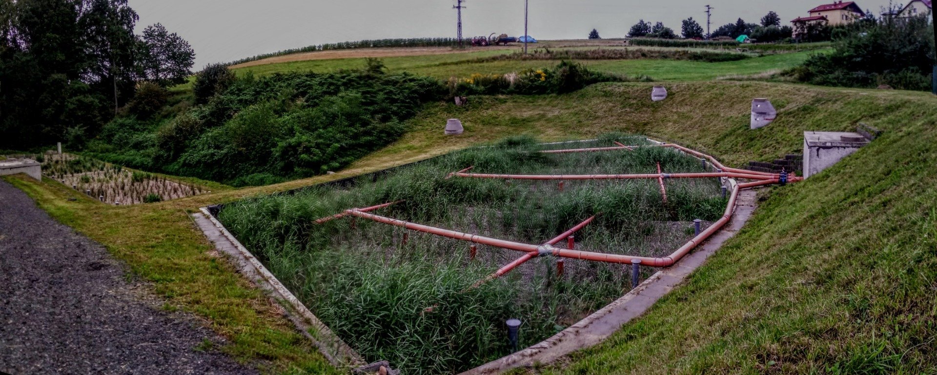 Kořenová čistička odpadních vod – to pravé pro vaši zahradu