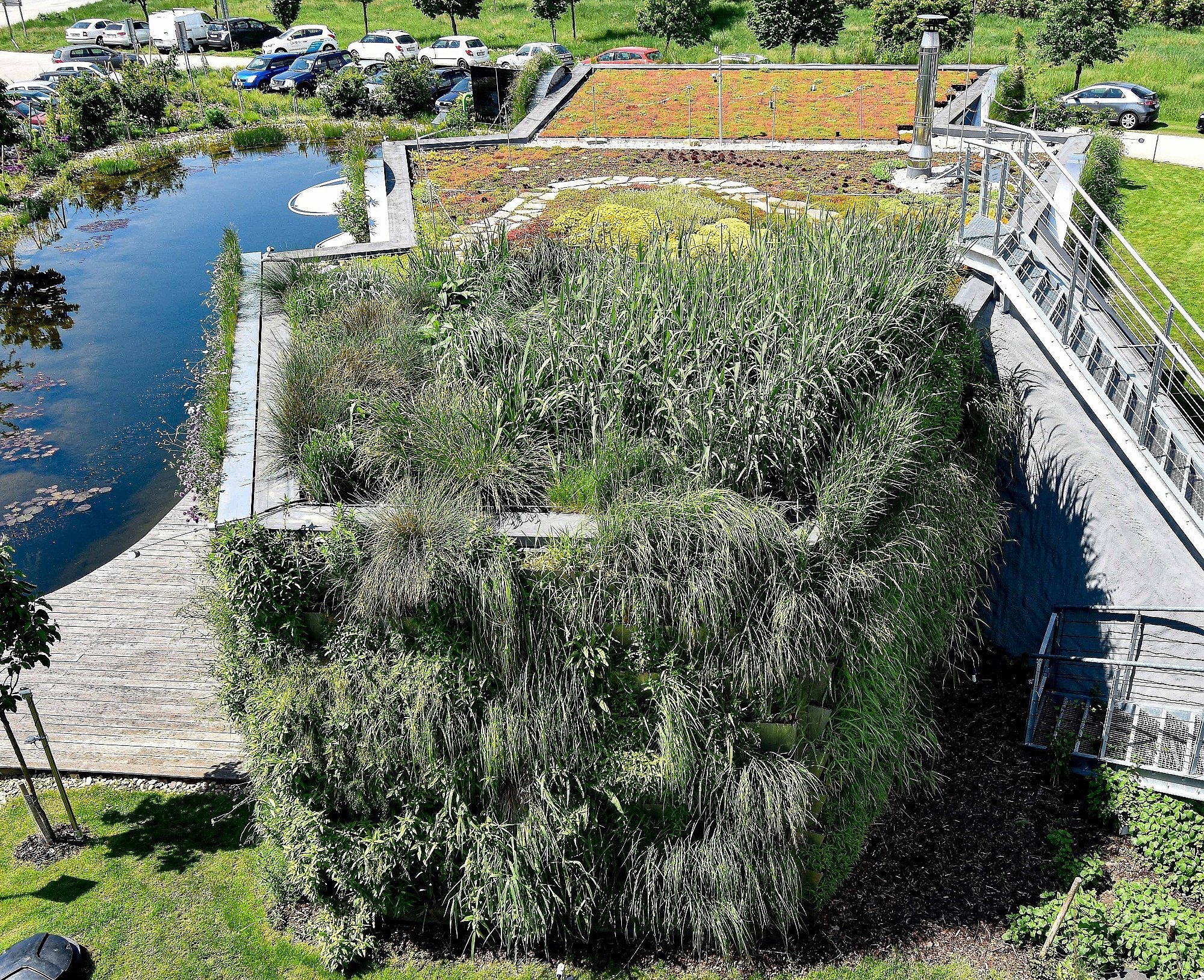 Kořenová čistička odpadních vod – to pravé pro vaši zahradu