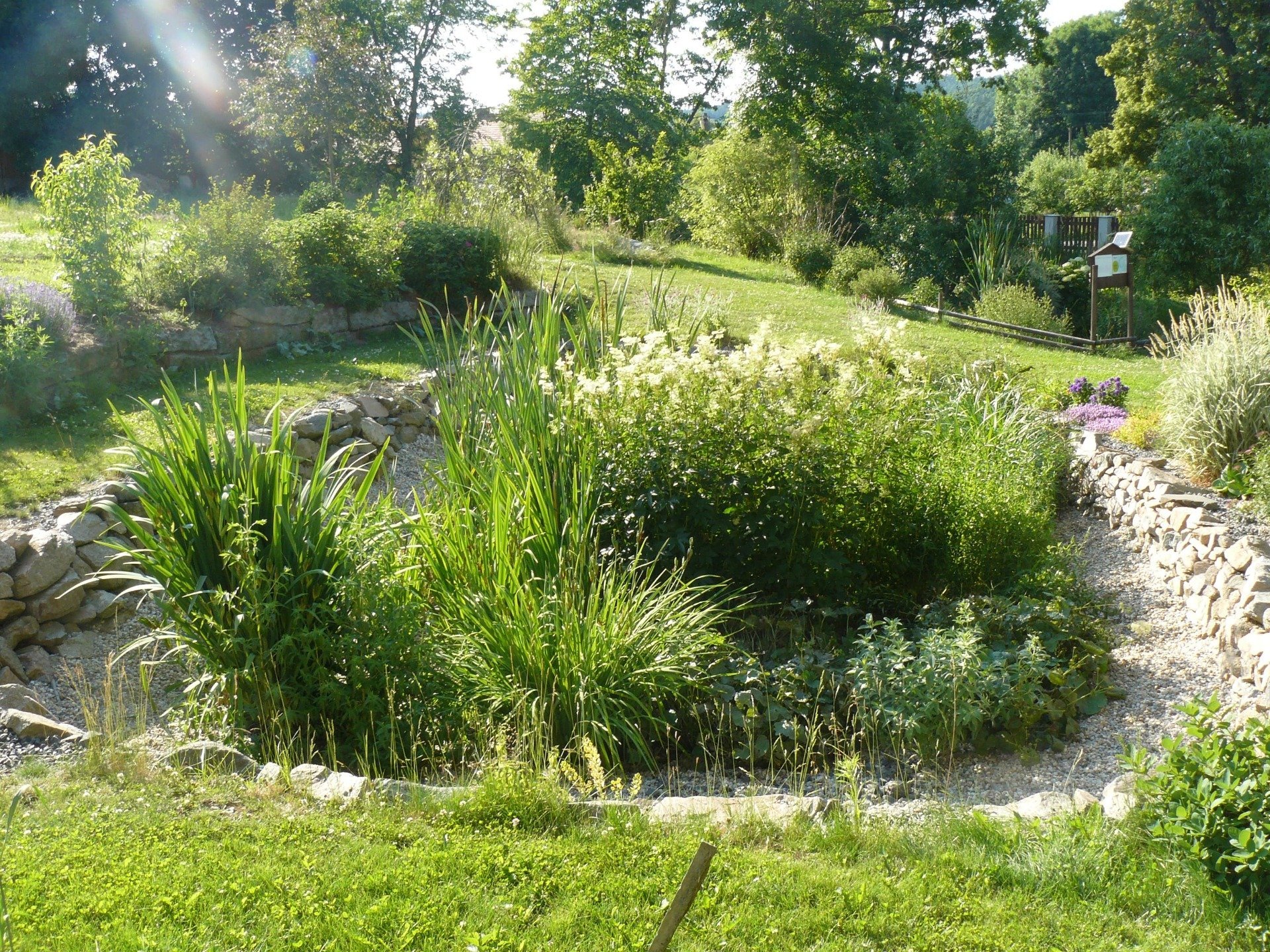 Kořenová čistička odpadních vod – to pravé pro vaši zahradu