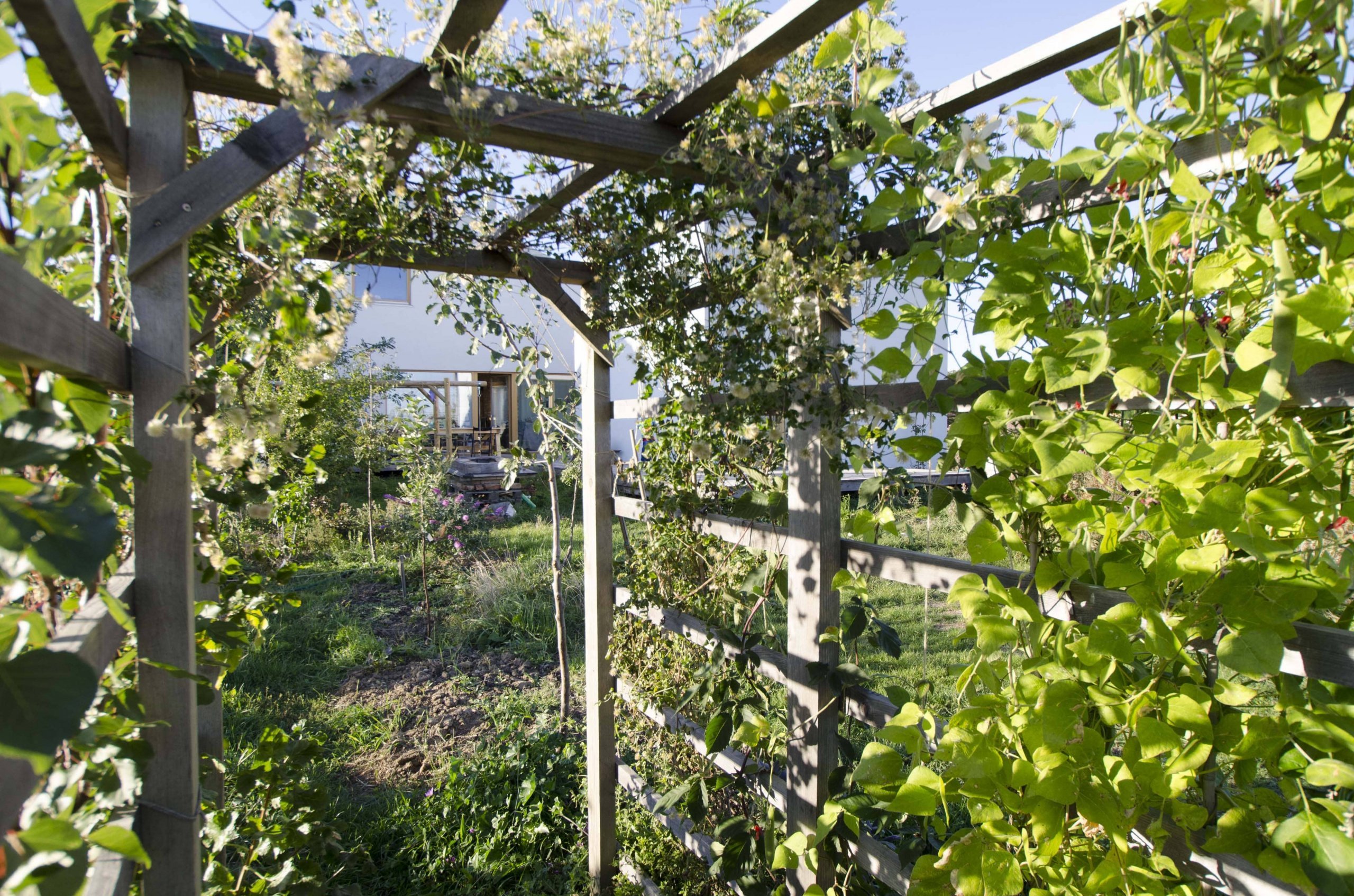 Malá rodinná usedlost plná dynamiky