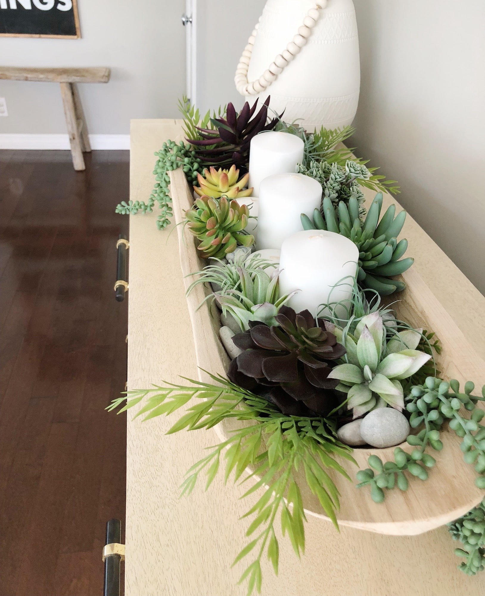 Pěstování sukulentů – hodně světla, málo vody