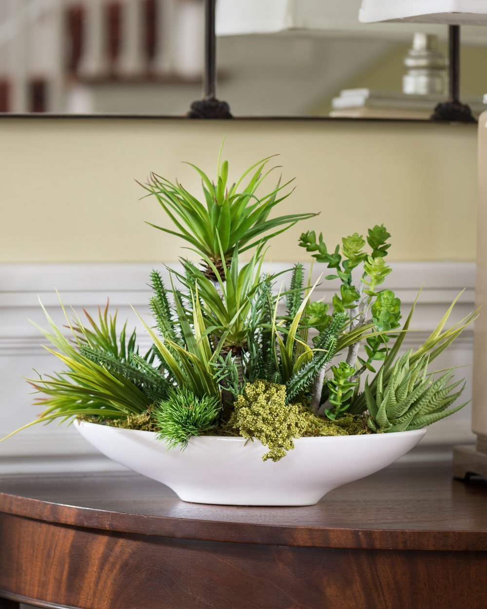 Pěstování sukulentů – hodně světla, málo vody