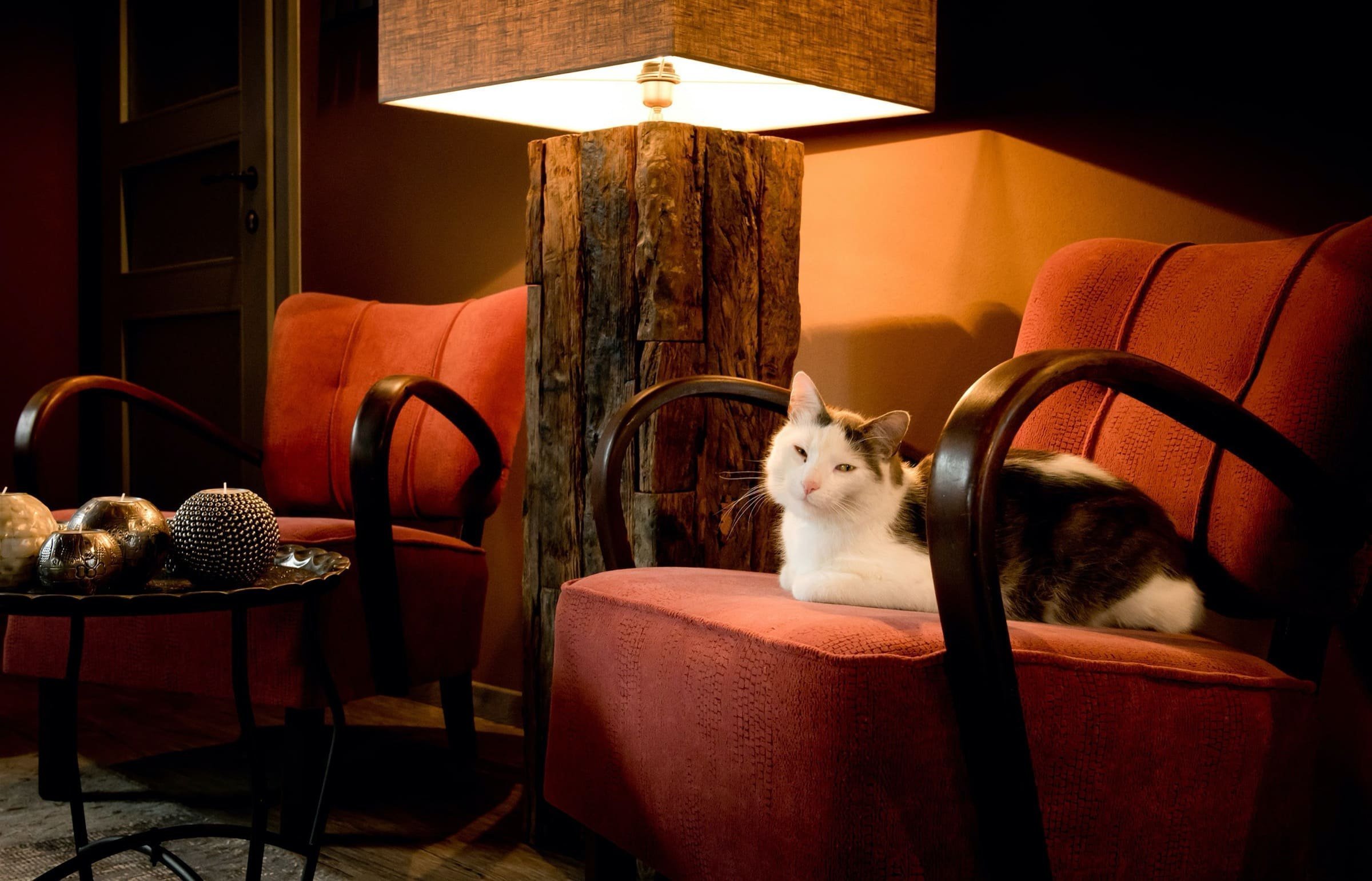 Proměna starého mlýna, který posledních dvanáct let chátral