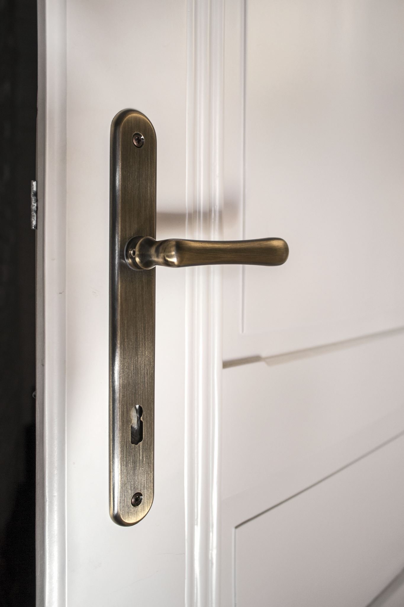 Prvorepublikový byt s ocelí a rezem v hlavní roli