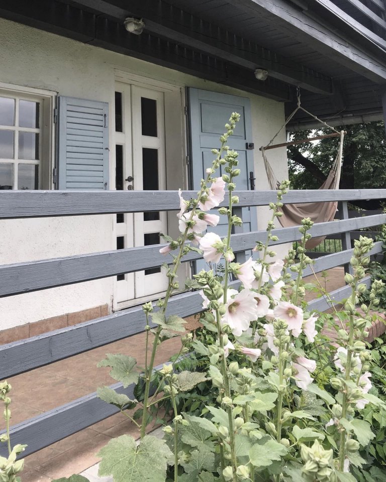 Půvabný dům v údolí luk