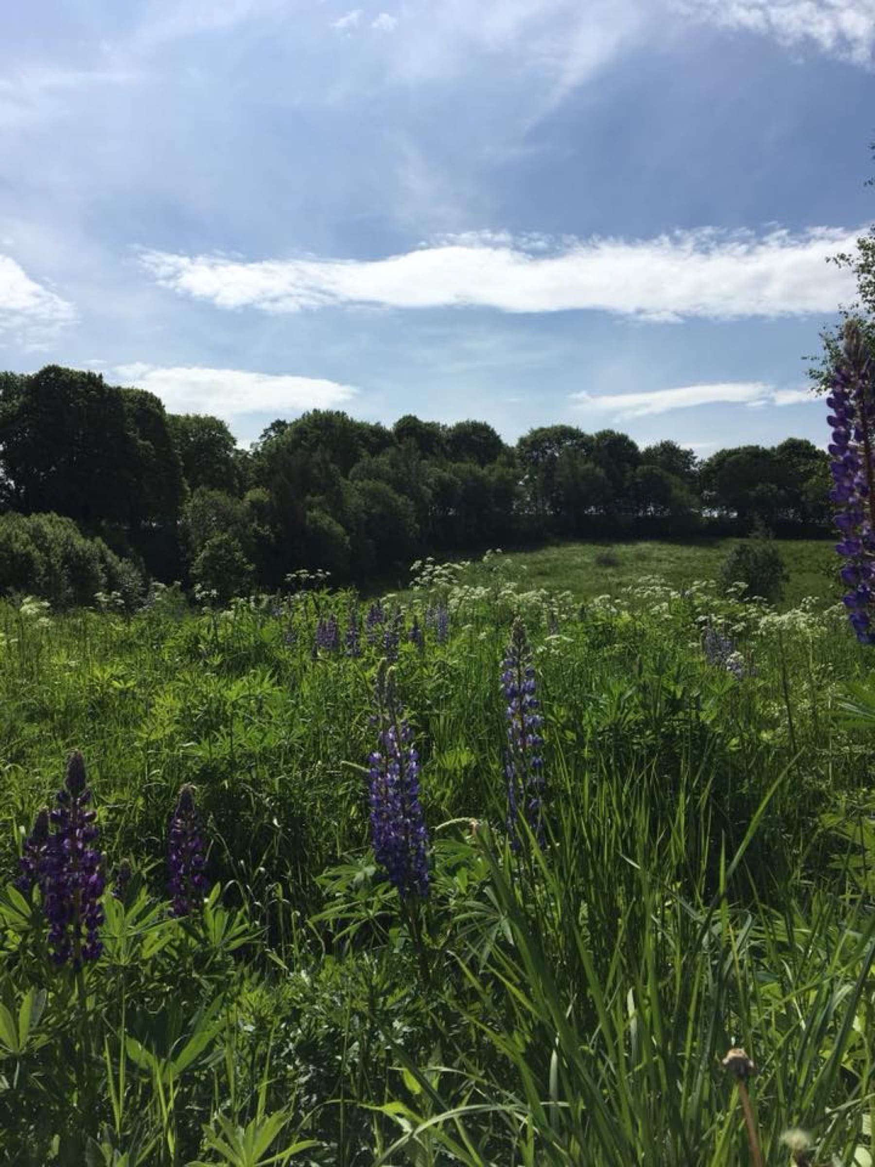 Půvabný dům v údolí luk