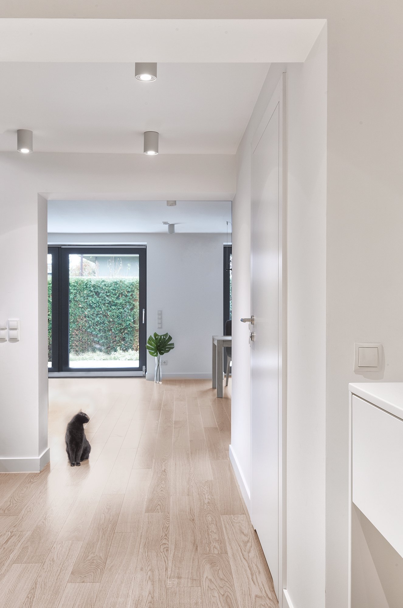 Rekonstrukce dvojdomku v Poznani