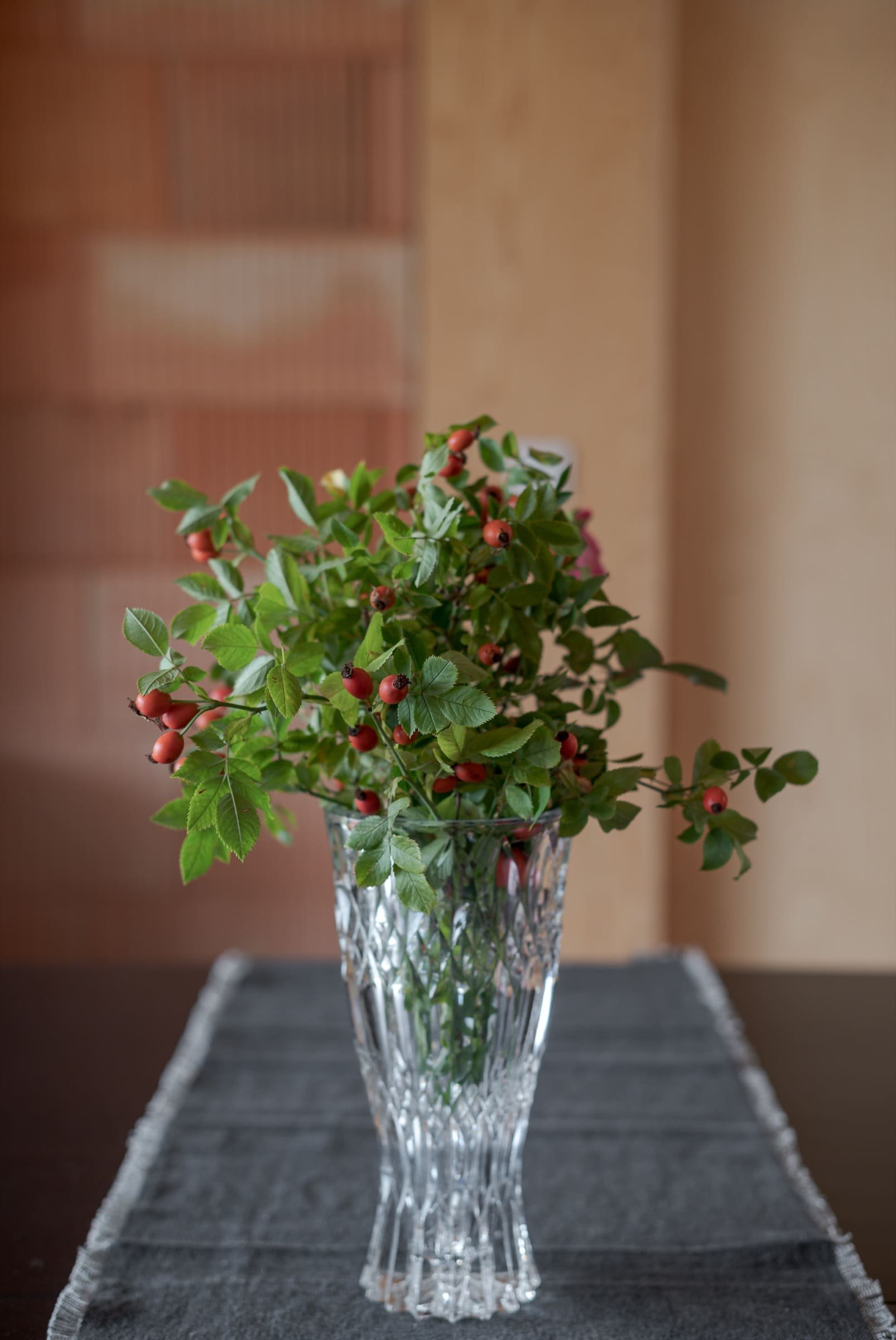 Rekreační domek vdechl zapomenuté zahradě nový život