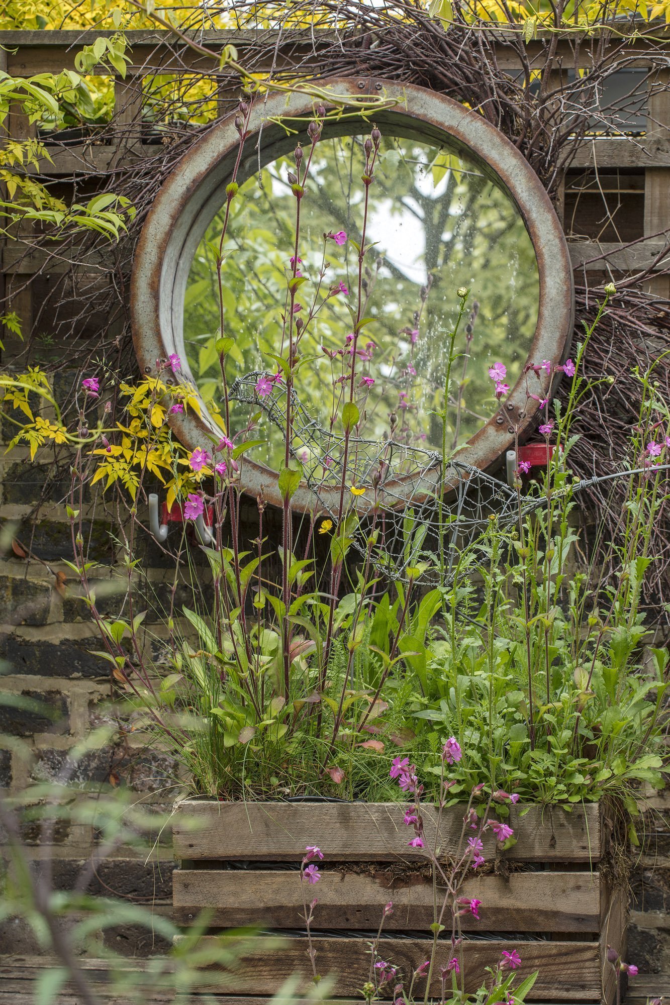 V londýnské zahradě