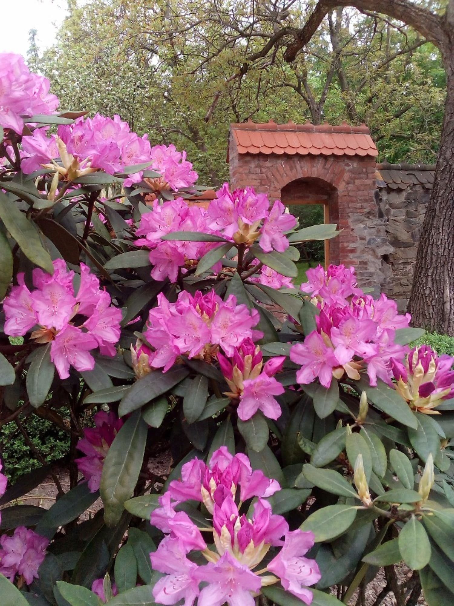 Zpustošenou stodolu proměnili v kouzelné místo