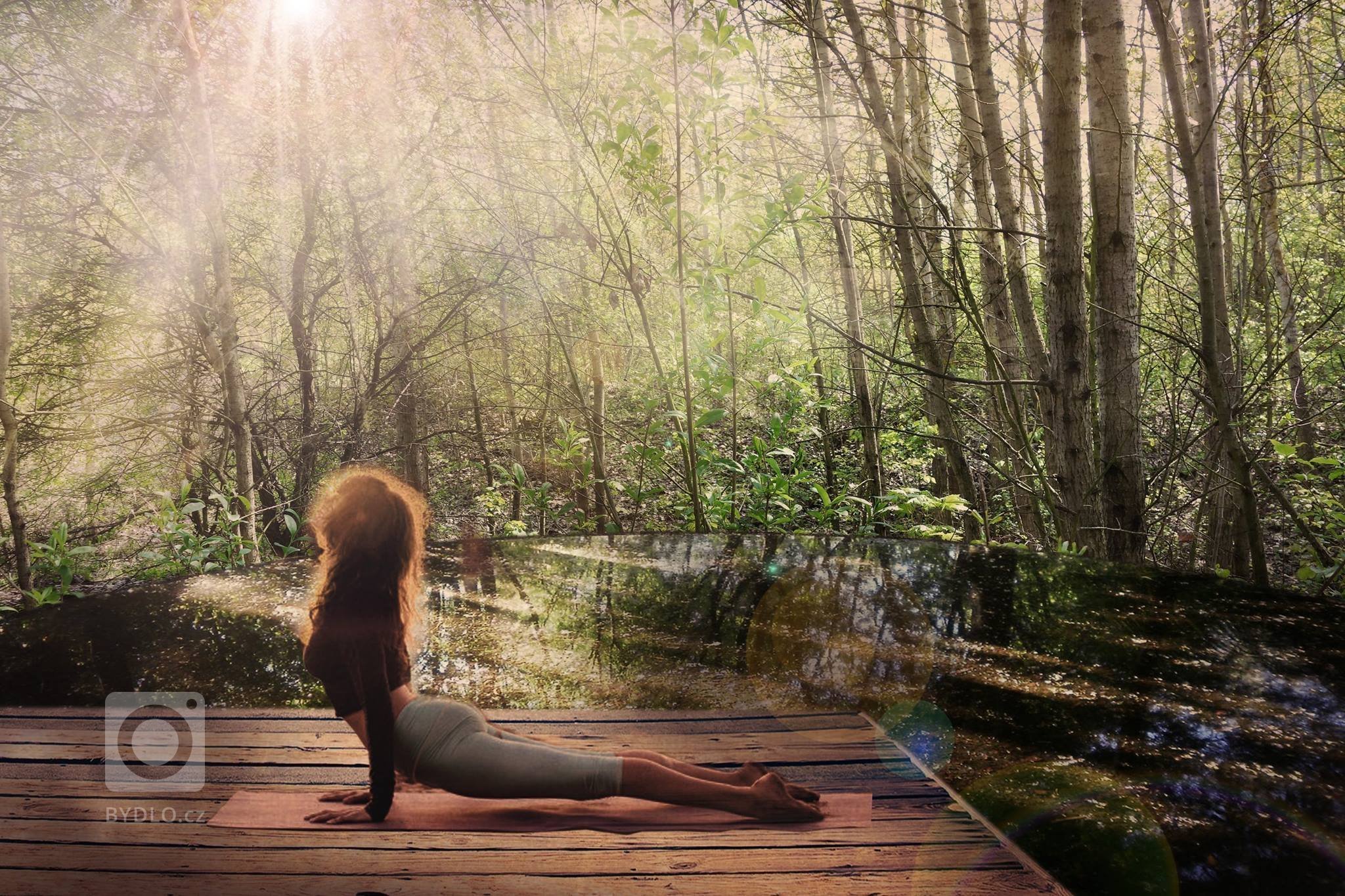 Z akátového dřeva z místních zdrojů jsou navržena  mola s nejrůznějšími funkcemi - na obrázku meditační molo za vycházejícího slunce..
