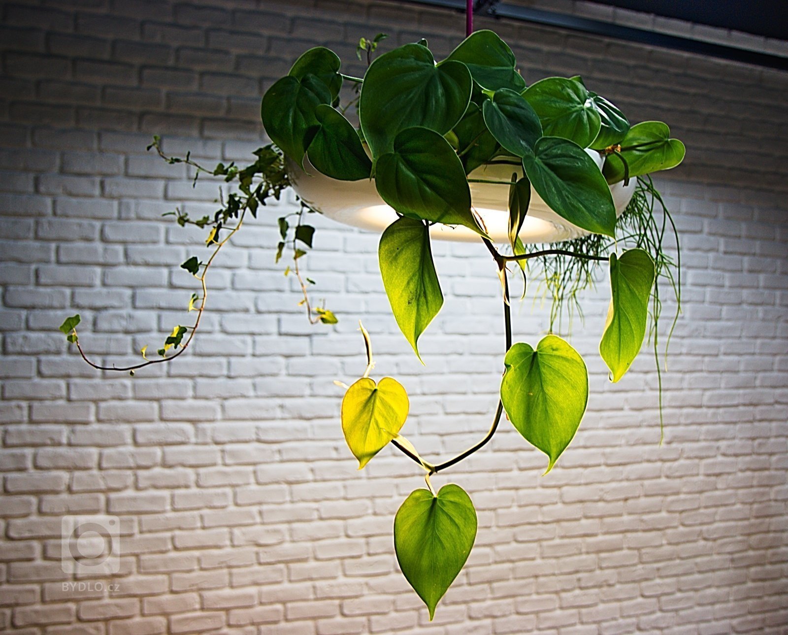 Design kancelář