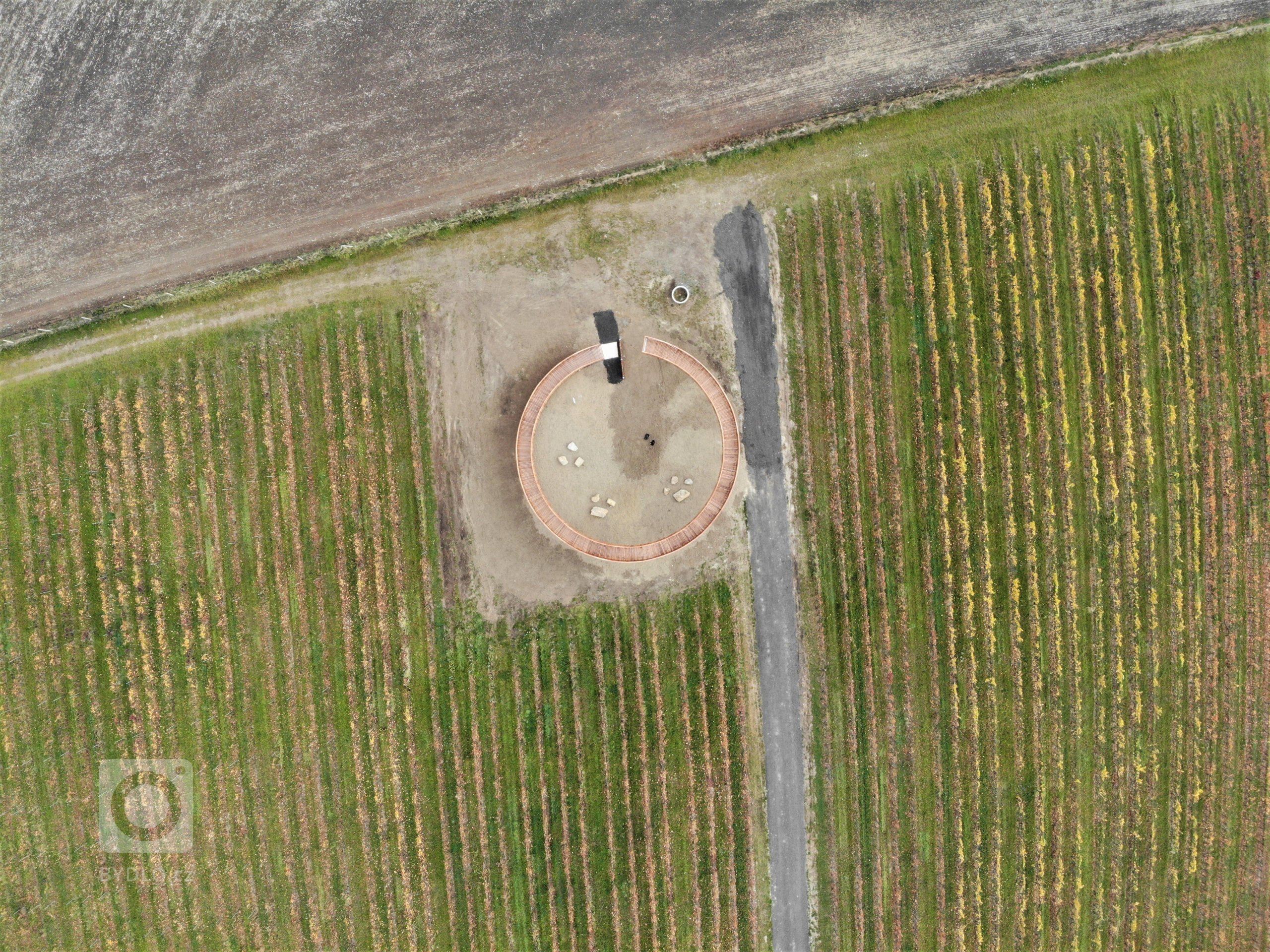 Fotografie z dronu, Kobylí, jižní Morava, vinice, rozhledna 