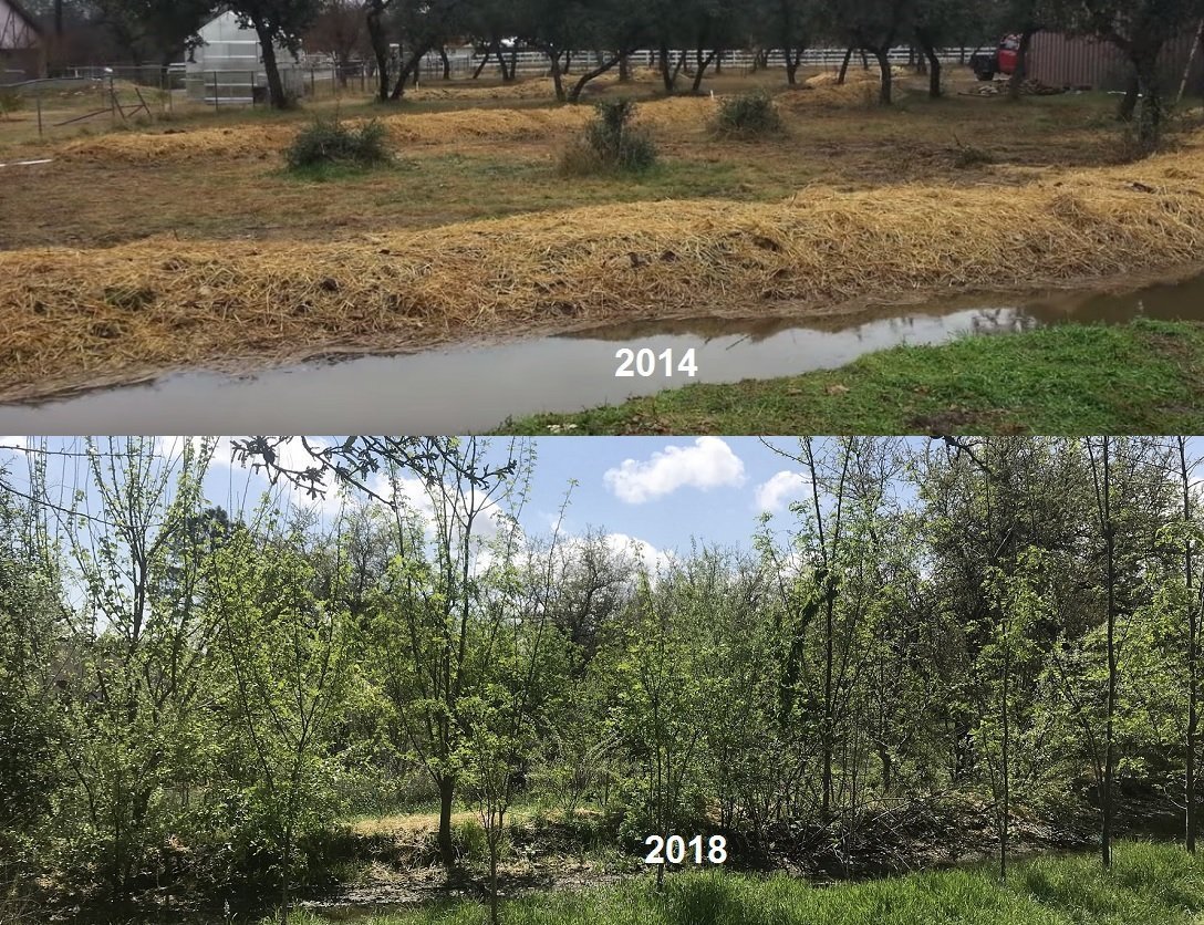 Zdroj: Permaculture research institute. Austrálie