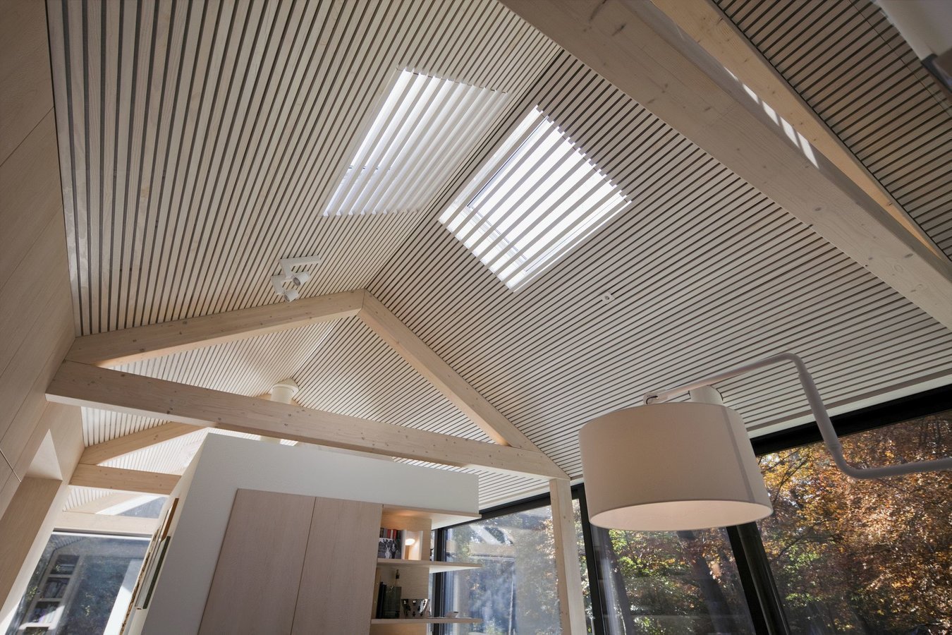 Prosklený dům na kraji lesa