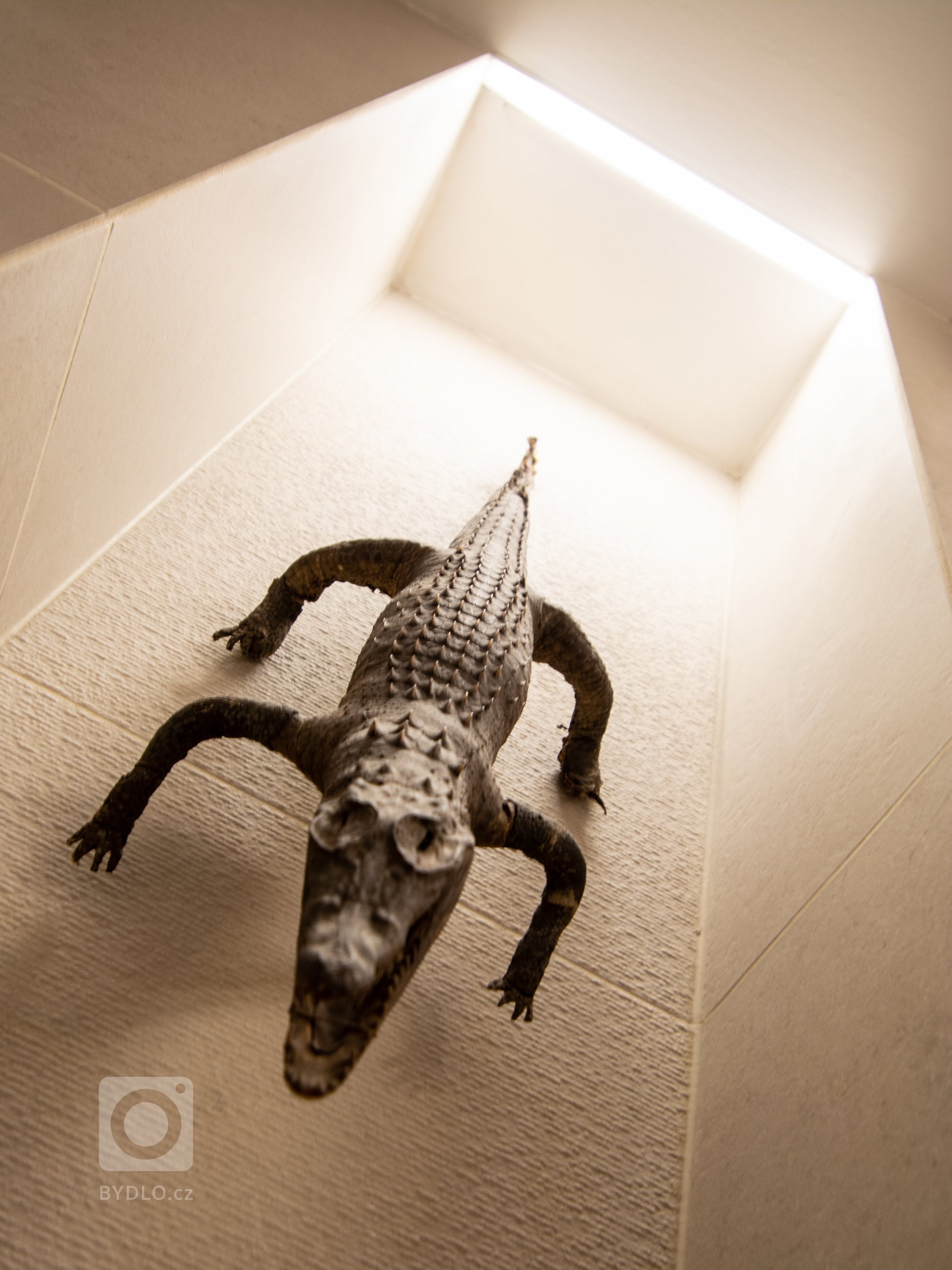 Byt je ve staré blokové zástavbě v Holešovicích. Velká výhoda bytu spočívá v jeho nosném systému kdy Jediný nosný prvek v celé dispozici&nbsp;je sloup zhruba…