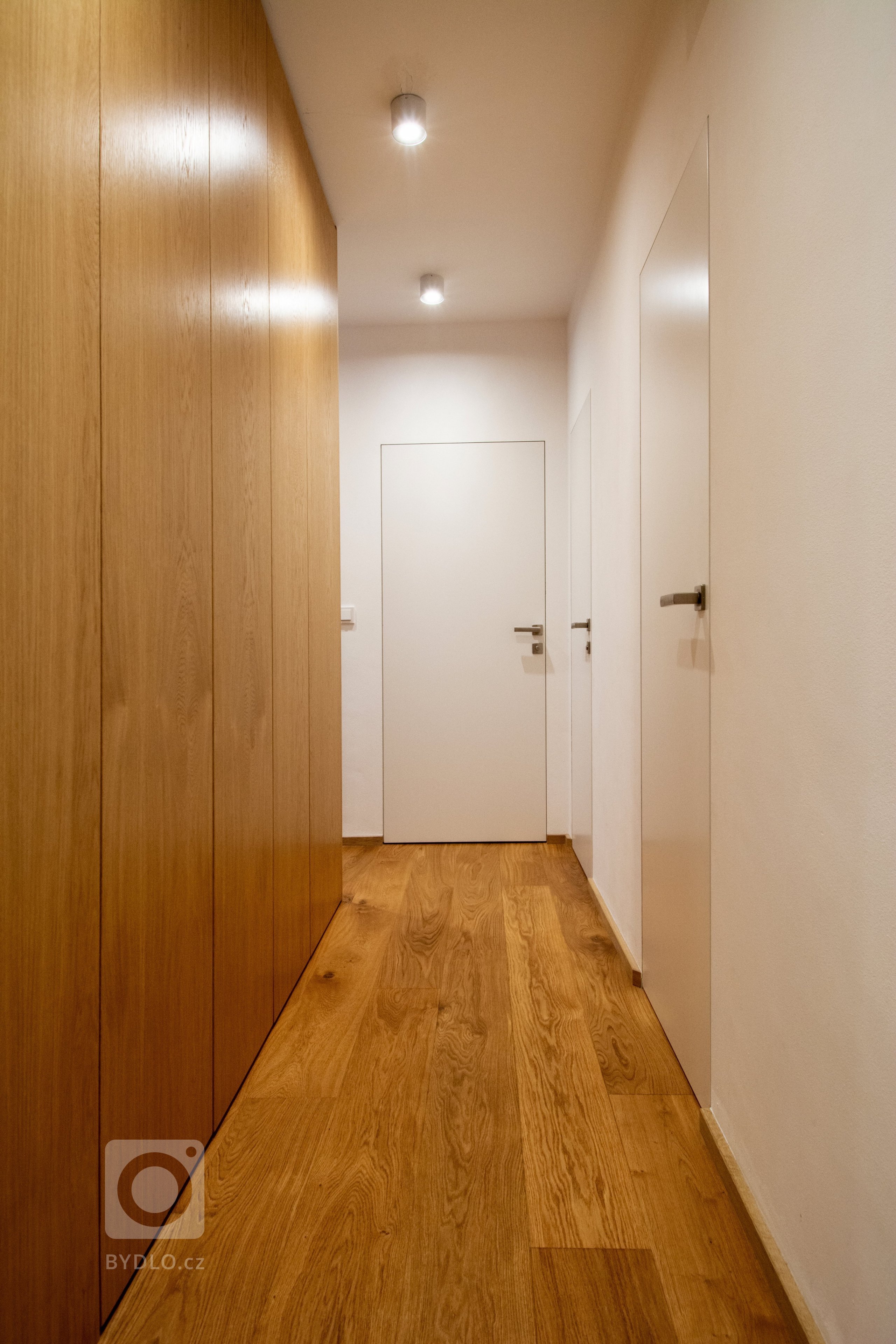 Byt je ve staré blokové zástavbě v Holešovicích. Velká výhoda bytu spočívá v jeho nosném systému kdy Jediný nosný prvek v celé dispozici&nbsp;je sloup zhruba…