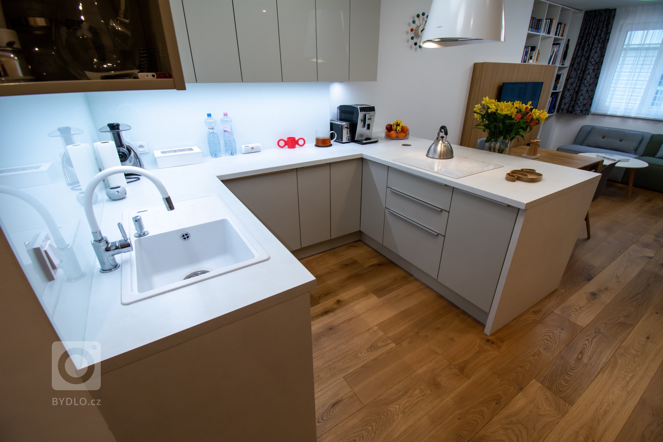 Byt je ve staré blokové zástavbě v Holešovicích. Velká výhoda bytu spočívá v jeho nosném systému kdy Jediný nosný prvek v celé dispozici&nbsp;je sloup zhruba…