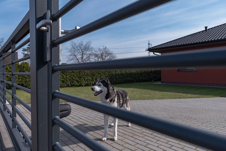 Kovový plot v kombinaci gabiony nezklame (rodinný dům, Orlová)

Současná podoba&nbsp;moderního bungalovu pro mladou rodinu. Takový trend dnešní doby. Majitel…