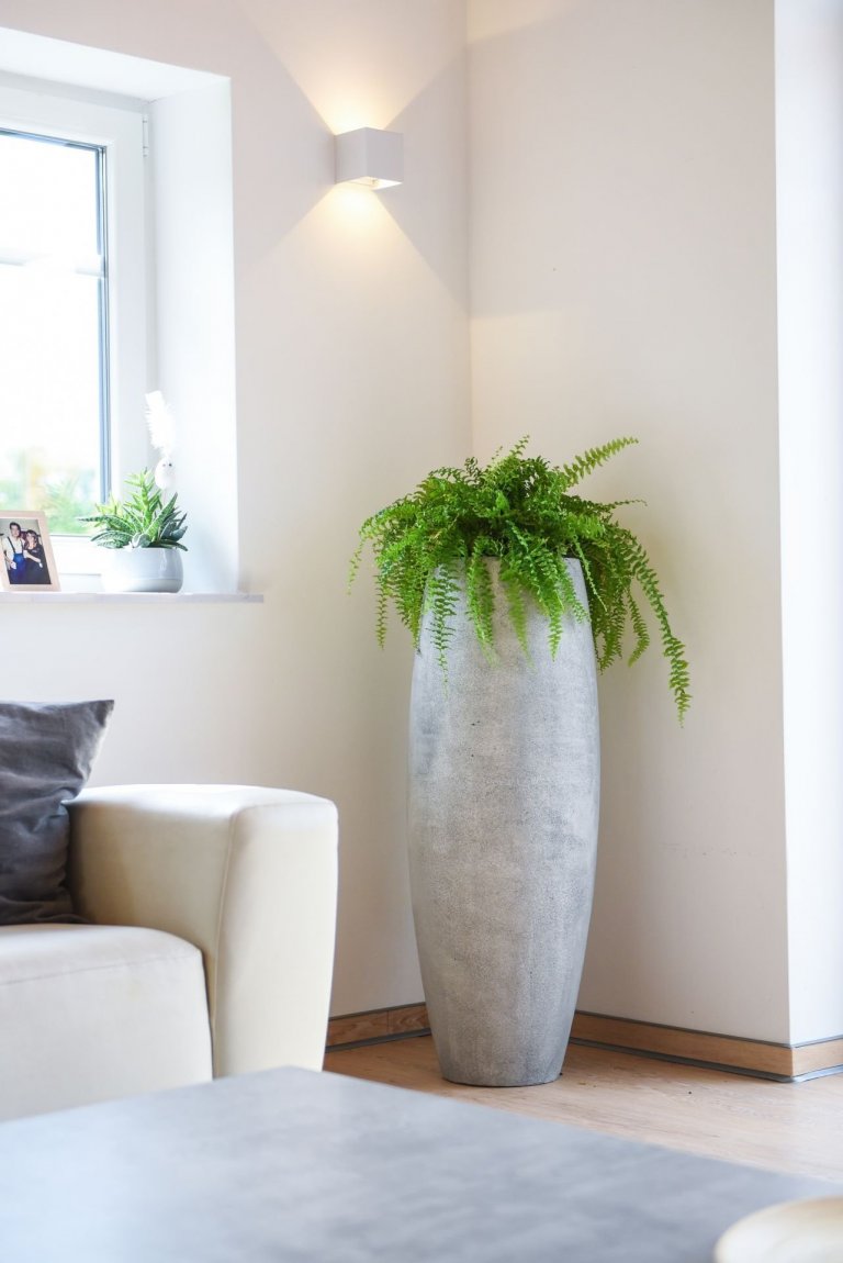 Květináče – čím dál častěji designová záležitost