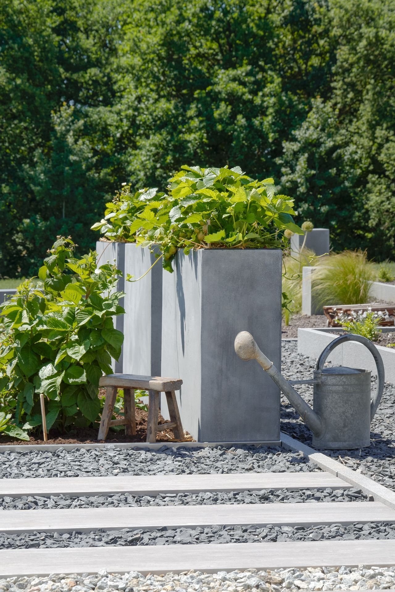 Květináče – čím dál častěji designová záležitost