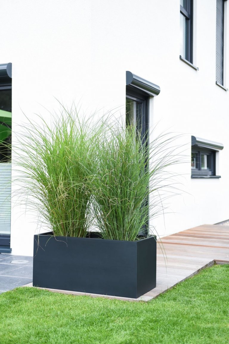 Květináče – čím dál častěji designová záležitost