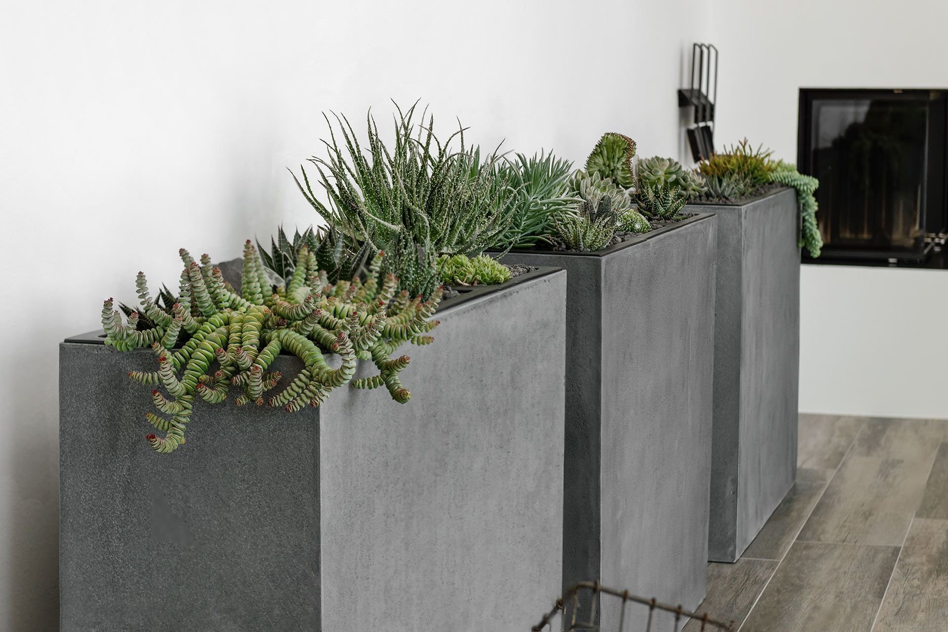 Květináče – čím dál častěji designová záležitost