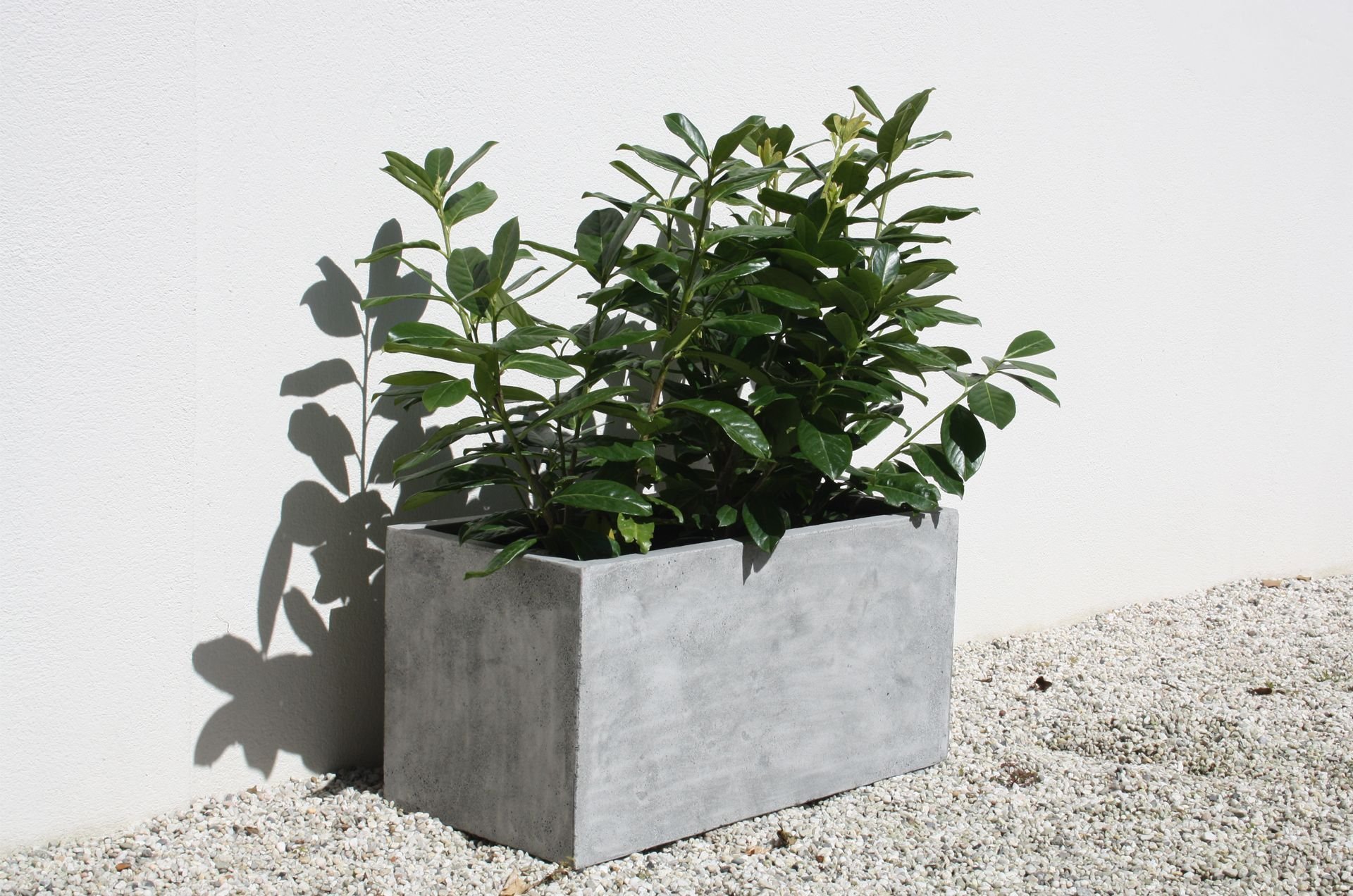 Květináče – čím dál častěji designová záležitost