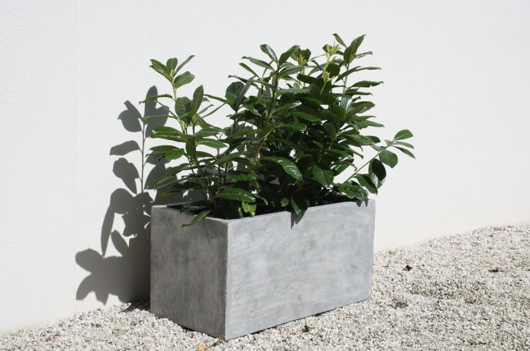 Květináče – čím dál častěji designová záležitost