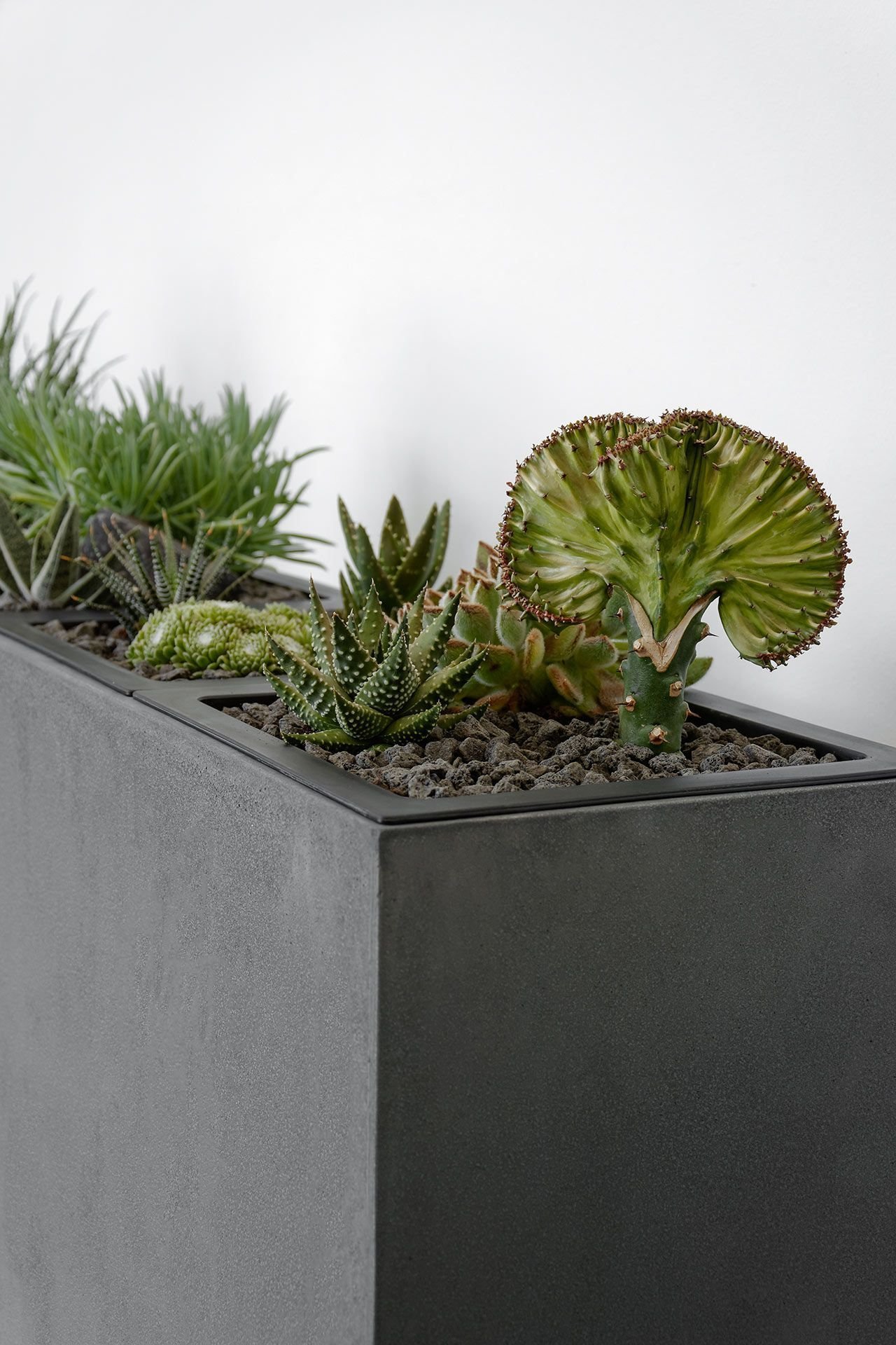 Květináče – čím dál častěji designová záležitost