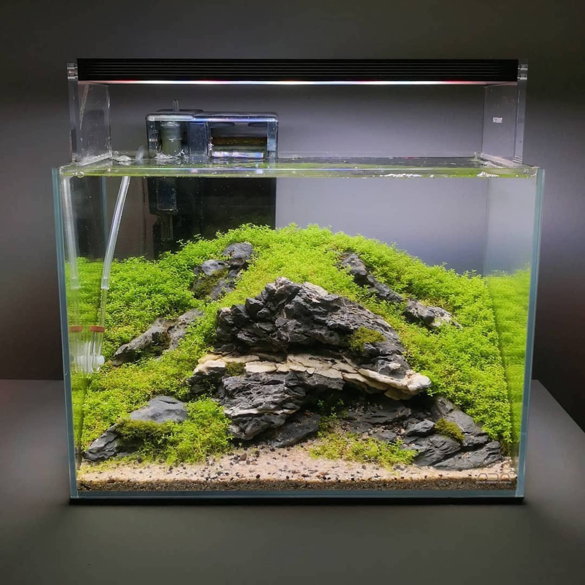 Nano akvárium, designový doplněk do vašeho bytu