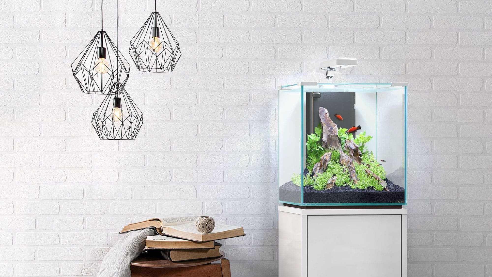 Nano akvárium, designový doplněk do vašeho bytu